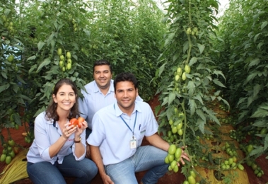 cehicon-promove-mais-um-dia-de-campo