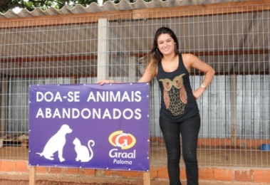 empresa-cria-abrigo-para-animais-abandonados