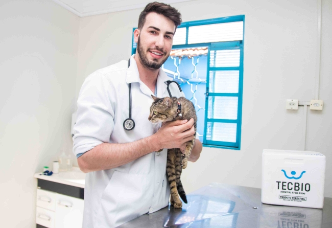 acidentes-com-escorpioes-tambem-estao-afetando-os-pets