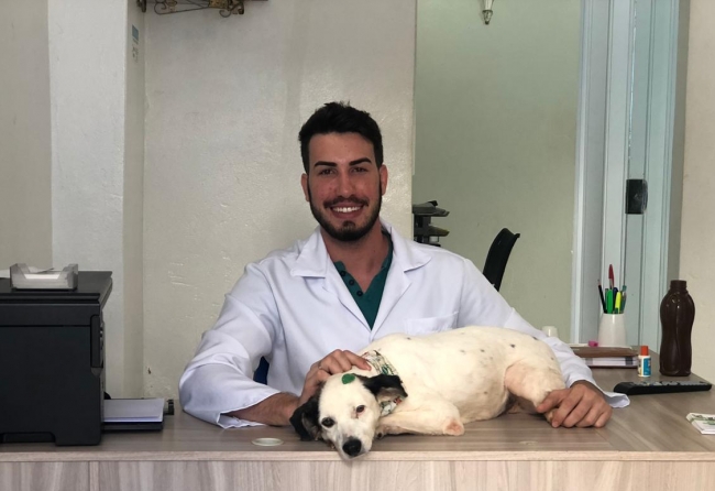 gripe-canina-e-doenca-respiratoria-comum-entre-caes