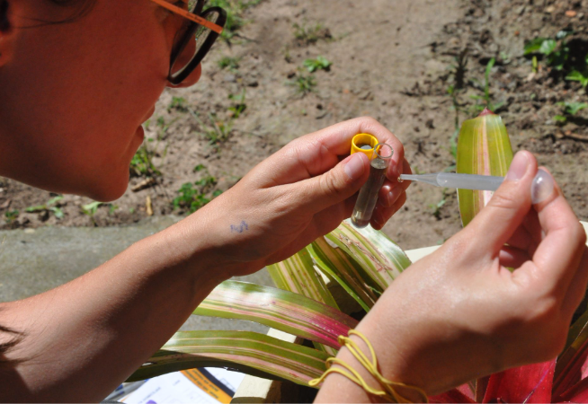 santa-cruz-registra-33-casos-confirmados-de-dengue-em-2026