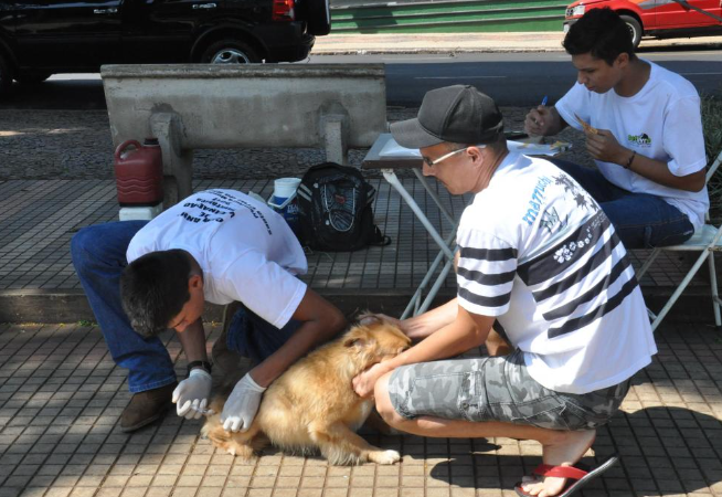 sodrelia-recebe-campanha-de-vacinacao-antirrabica-neste-domingo
