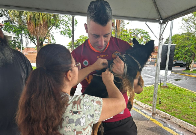 vacinacao-antirrabica-em-2025-reforca-prevencao-mesmo-com-poucos-casos